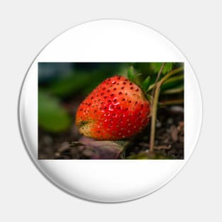 Strawberry 3 Pin