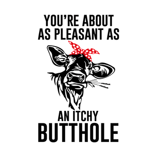 Youre about as pleasant as an itchy butthole T-Shirt