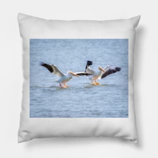 American White Pelican Dual Landing Pillow