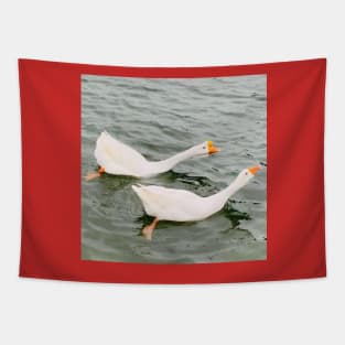 Duck Tapestry