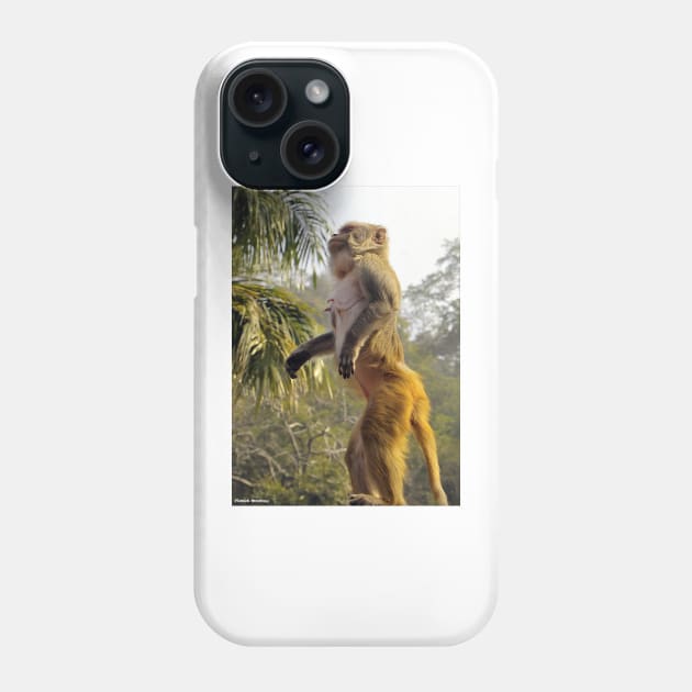 Amazing Monkey Stand Up for your rights Phone Case by PlanetMonkey