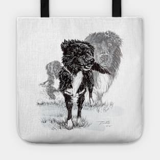 Border collie named Valentino portrait Tote