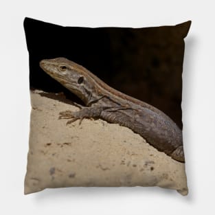Gallotia Galloti (Female Tenerife Lizard) Pillow