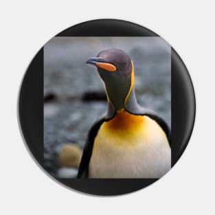 King Penguin Up Close & Personal Pin