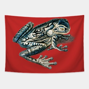 Vintage black-spotted casque-headed tree frog Tapestry