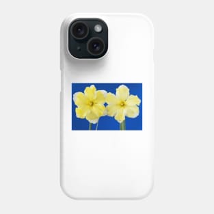 Narcissus  &#39;Cassata&#39;  Daffodil  Division 11a Split-corona: Collar Phone Case