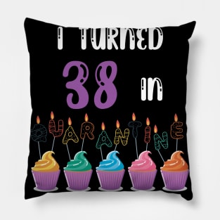 I Turned 38 In Quarantine funny idea birthday t-shirt Pillow