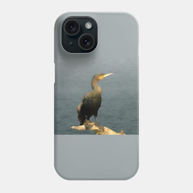 Cormorant Phone Case by Guardi