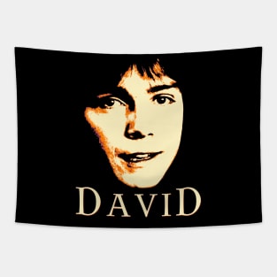 David Tapestry