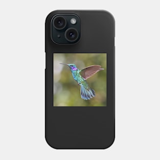 Green Violetear Hummingbird Phone Case