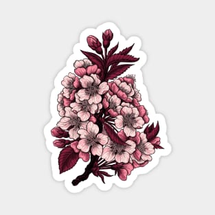 Cherry blossom branch Magnet