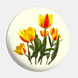 Red and Yellow Striped Tulips Pin