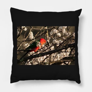 Australian King Parrot Pillow