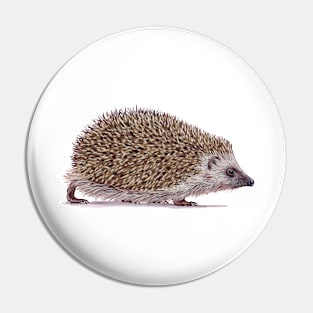 Northern white-breasted hedgehog Pin