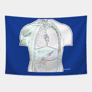 Mr. Guts: Anatomical Model Torso Art Tapestry