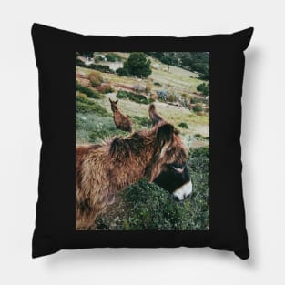 Wild Donkeys Duo Pillow