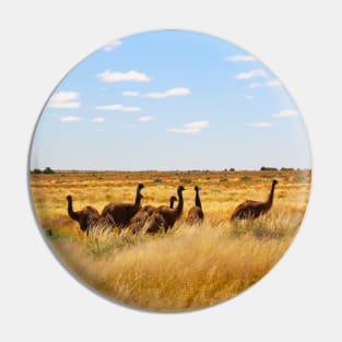 Emus in the Outback! Pin