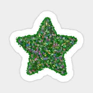 Green Magic Star Magnet