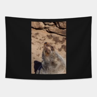 Fur seal. Tapestry