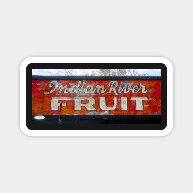 Indian River Fruit sign circa 1938 Magnet by dltphoto