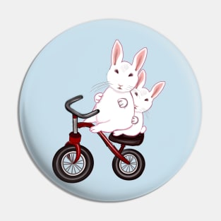 bunny rabbits on a bicycle- cute bunny rabbit peeking out Pin