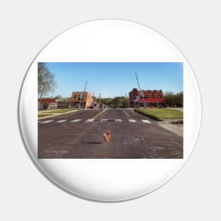 Why Did The Chicken Cross The Road.... Pin