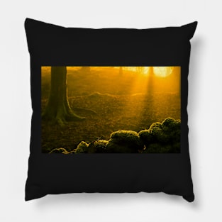 Red Bank Wood Pillow