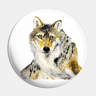 Grey wolf watercolor Pin