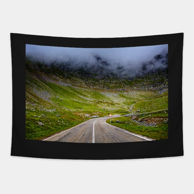 Winding road in mountains Tapestry by naturalis