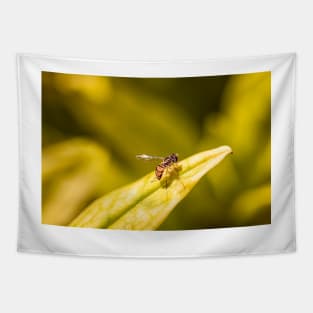 Calligrapher fly on leaf Tapestry