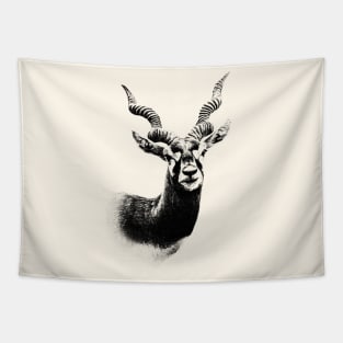 Blackbuck Tapestry