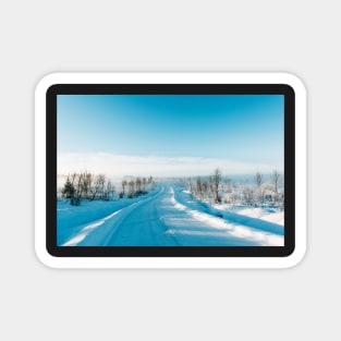 Blue Scandinavian Winter Landscape With Mysterious Fog on Sunny Cold Day Magnet