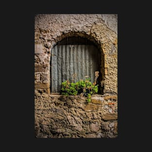 Window in Poffabro, North East Italy T-Shirt