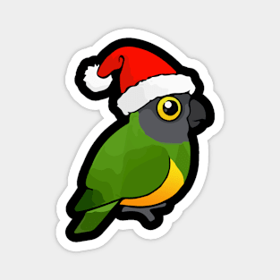 Cute Senegal Parrot Christmas Bird as Santa Claus Gift Magnet