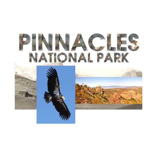 Pinnacles National Park by teepossible