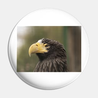 Stellers Sea Eagle Pin