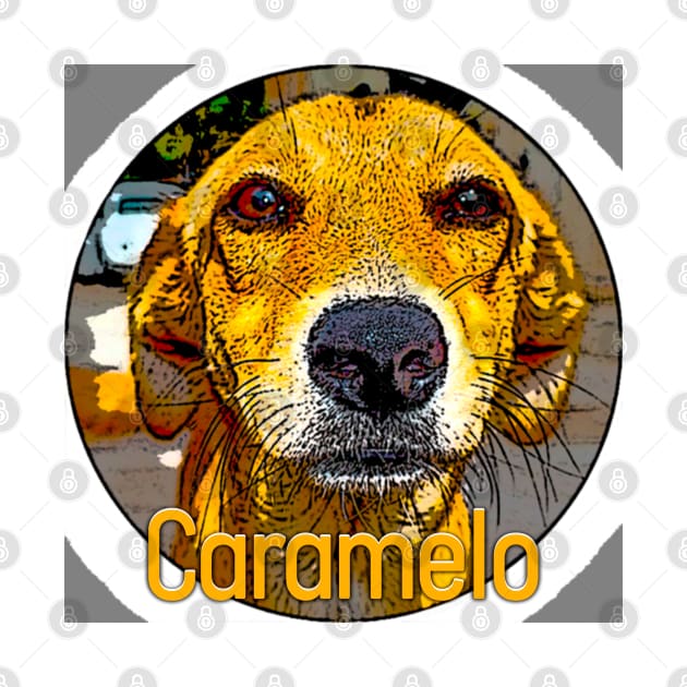 Caramel the famous dog of Brazil, victim of torture and death in a supermarket by Marccelus