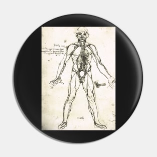 Anatomical figure of a man, to show the heart, lungs and main arteries.  Drawn by Leonardo Da Vinci, circa 1504-06 Pin