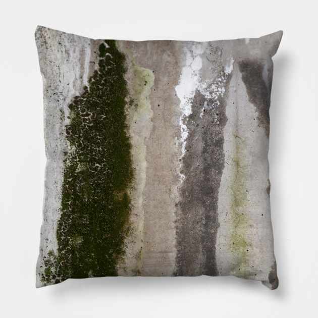 A mossy wall Pillow by textural