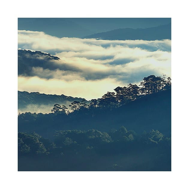 Mountains Covered In Fog, Landscape Photography, Forest Art, Cloudy Sky by Nature-Arts