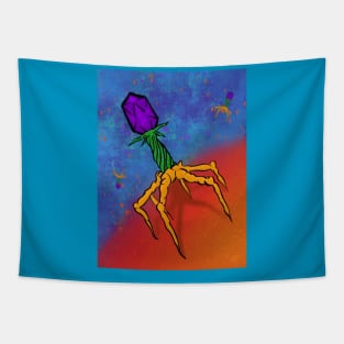 Invasion of the Bacteriophage Tapestry