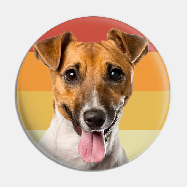 funny jack russell terrier dog vintage retro face - Jack Russell Terrier - Pin | TeePublic funny jack russell terrier dog vintage retro face - Jack Russell Terrier - Pin | TeePublic