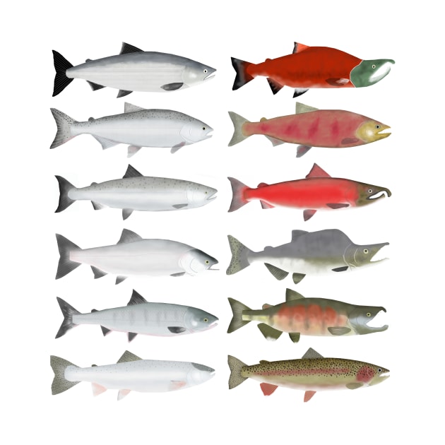 Pacific Ocean Salmon - Ocean and Spawn Stages by FishFolkArt