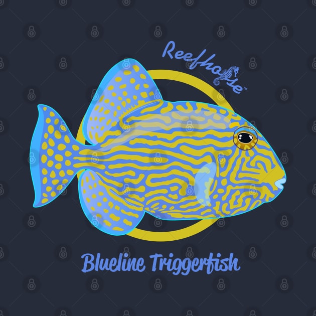 Blueline Triggerfish by Reefhorse