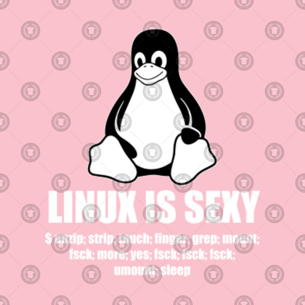 Linux Root Sudo Unix Shell Sexy Fun Gift By Mrniceguy83