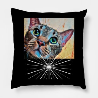 Cat Gaze Pillow