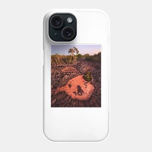 Craters Phone Case