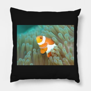 CLOWN FISH HIDING IN THE OCEAN CORAL DESIGN Pillow