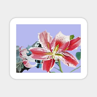 Red Lily Flower Watercolor - on Lavender Magnet