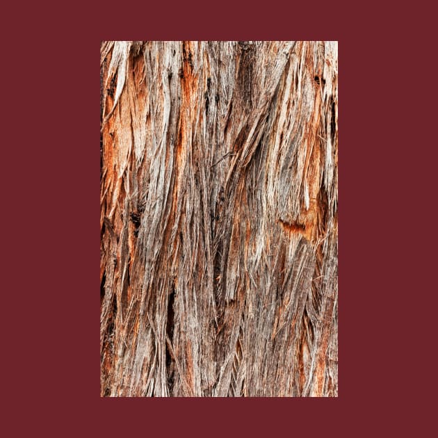 Rustic Orange Stringy Bark Tree by textural